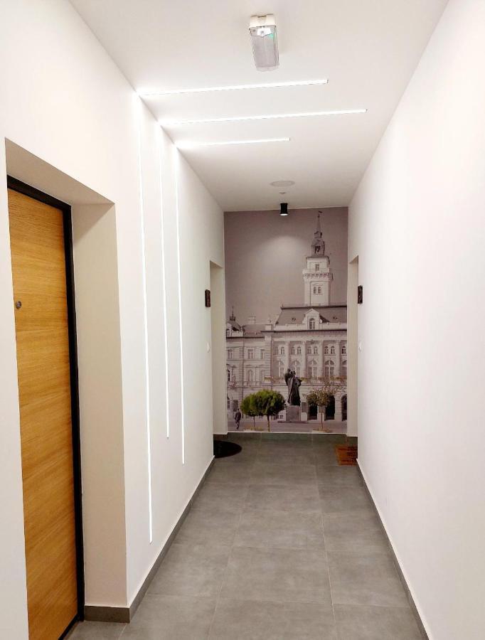 Apartmán Kej Danube Lux Free Garage Novi Sad Exteriér fotografie